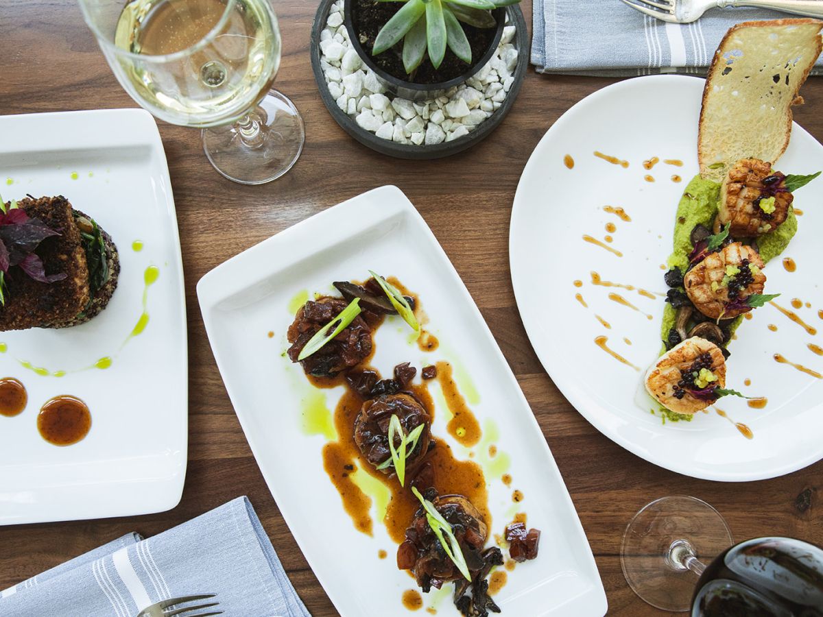 The image shows three plated gourmet dishes, a glass of white wine, a glass of red wine, and a succulent in a small pot on a wooden table.